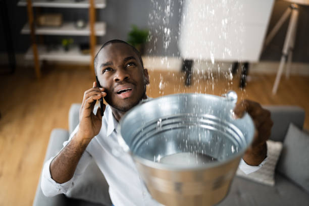 Best Residential water damage restoration  in Pine Bush, NY