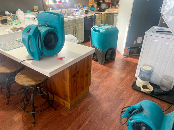 Best Mold removal after water damage  in Pine Bush, NY