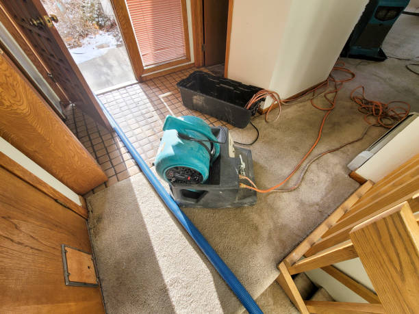 Best Water damage restoration company  in Pine Bush, NY