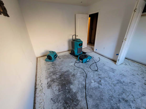 Best Carpet water damage restoration  in Pine Bush, NY