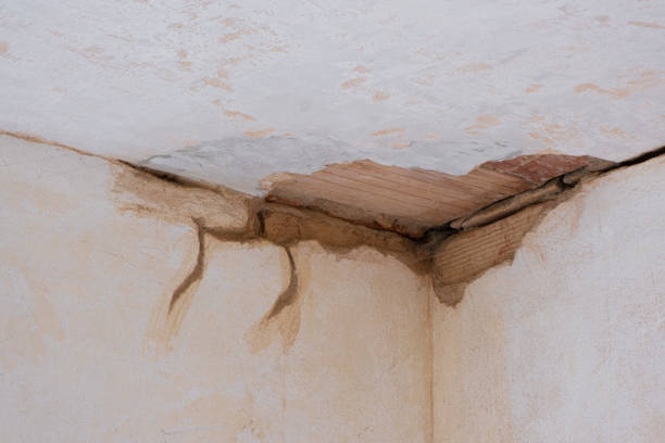 Best 24/7 water damage repair  in Pine Bush, NY