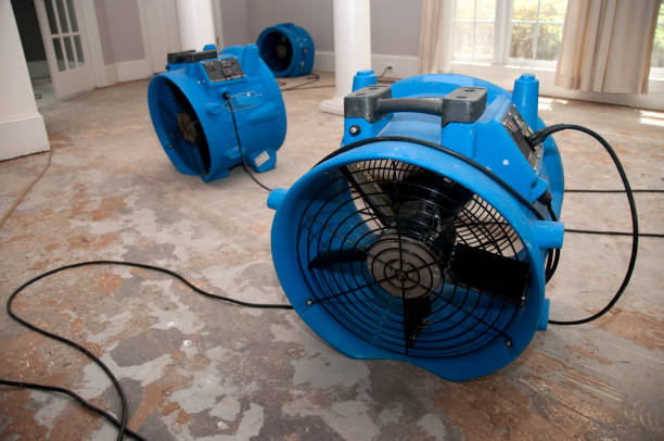 Professional Water damage restoration in Pine Bush, NY