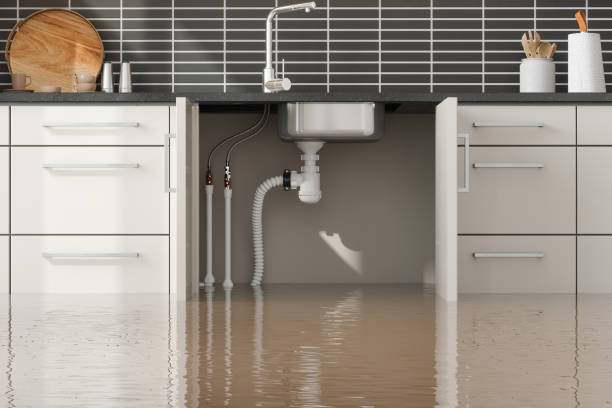 Best Water damage contractors near me  in Pine Bush, NY