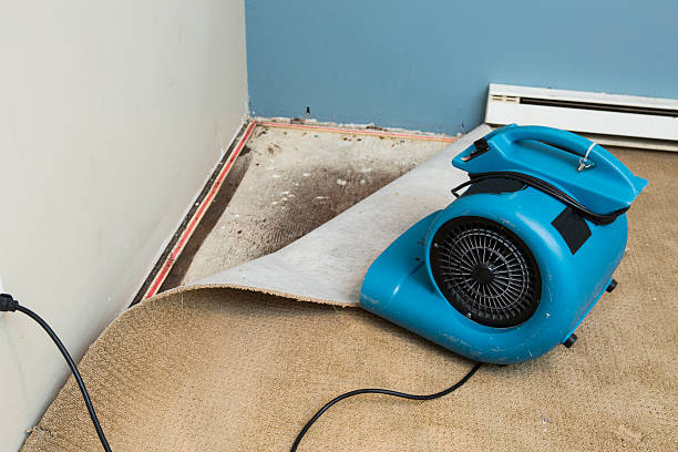 Best Fire Damage Restoration  in Pine Bush, NY